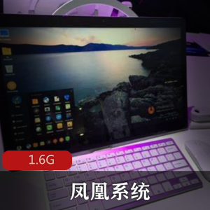 （凤凰系统）破解版