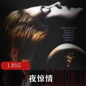 （夜惊情）百度内部盘