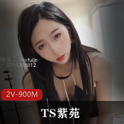 国产TS界天花板绝美女装大佬（紫苑）乘骑打桩姬