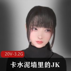 网络热传岛国创意3D涩图—（卡水泥墙里的JK）