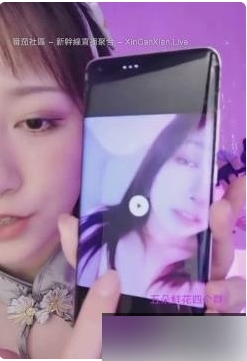 刘斯琦的五部作品