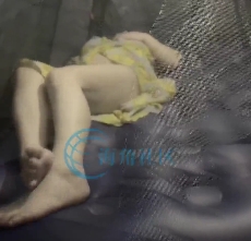 自行打包的海角feng+ru+fei+tun的姐姐合集，720M，百度盘