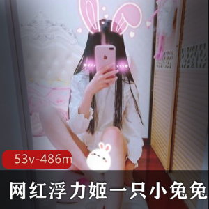 推特神秘FL姬和小兔兔白丝合集