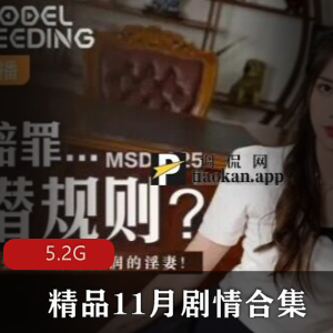 麻豆91精东精品11月合集