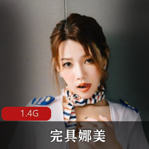 完具娜美合集