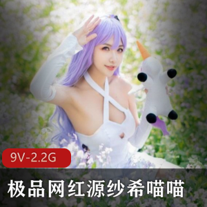 超人气宅男女神源纱希喵喵的精选COS美女定制合集