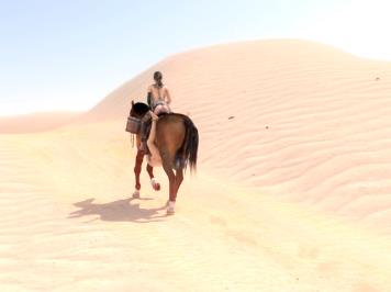 BreakingTheQuiet:静静与马，口味重，一马二人2V-5.5G