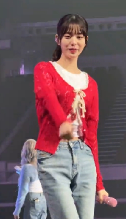 TikTok张元英粉丝视频17个68.7mb百度盘