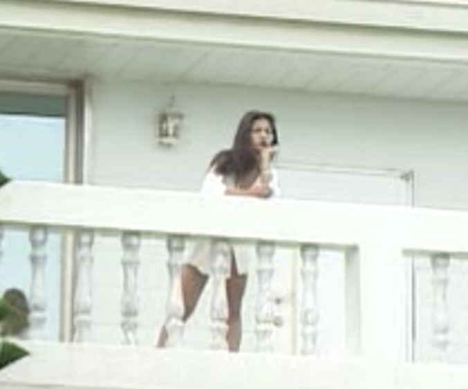 妖娆模特热舞系列：万紫千红，12集2.1g