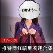 神秘网红少女-暗里着迷，15V5.2G视频曝光，男人们疯狂下载收藏