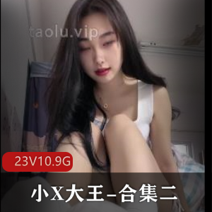《小X大王的丝足羞R榨J合集二：长短视频总计10.9G，原视频无广告下载》