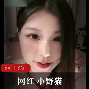 网红小野猫直播秀：御姐颜值身材反差魅力，道具秀棒棒糖推荐