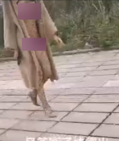 大神利哥户外风筝秀：33.8G线补线，百度云资源下载