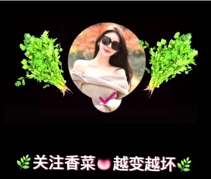 微博海归大师x学先生王者归来新作1V大小，精彩内容不容错过