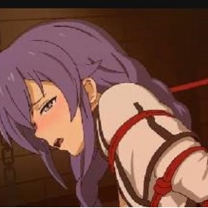 2D同人短片无职转生异世界合集53V5.8G，包含众多女角，精彩短片等你观看！