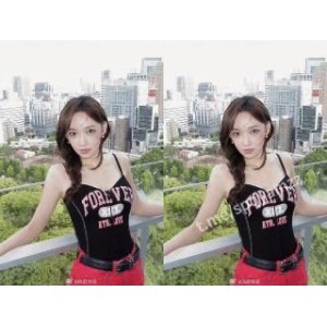[百度盘]动图更新明星脱衣第二弹[17p17v+78mb]