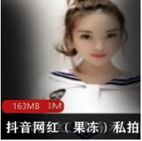 抖音诱惑果冻私拍合集55部35G