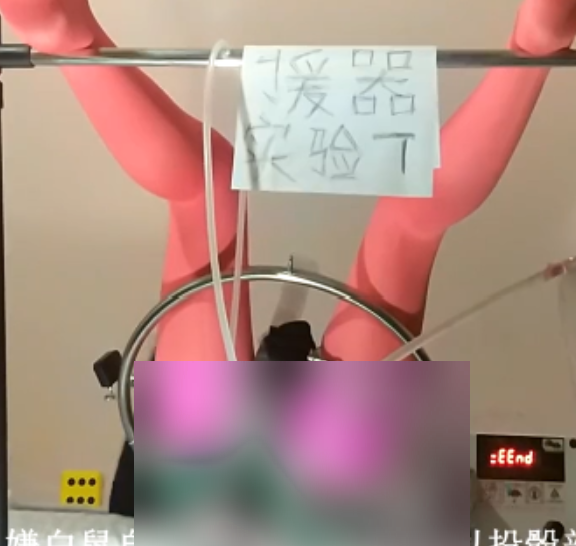 劲爆5部援器学会50G视频火辣