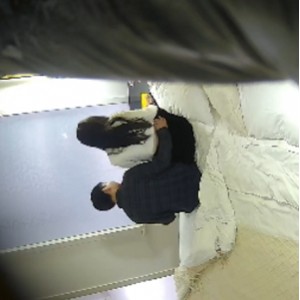 小红书乐橙超顶表演25套85V仙女级107G